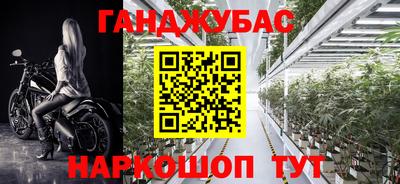 амф Ликино-Дулёво