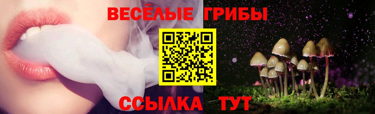 Серпухов  наркошоп  Вход с VPN  Галлюциногенные грибы прущие грибы 